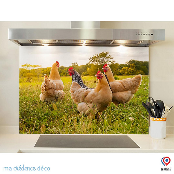 Crédence cuisine fond de hotte Poules - Verre trempé - L 60 cm x H 45 cm - MaCrédenceDéco