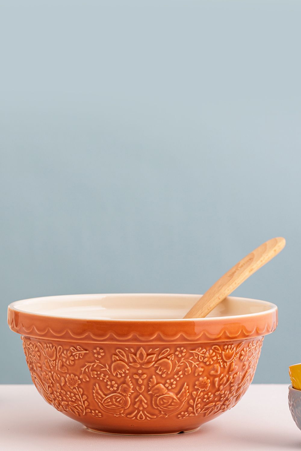 Mason Cash Set of 2 Home to Roost Earthenware Mixing Bowl 24cm & 29cm