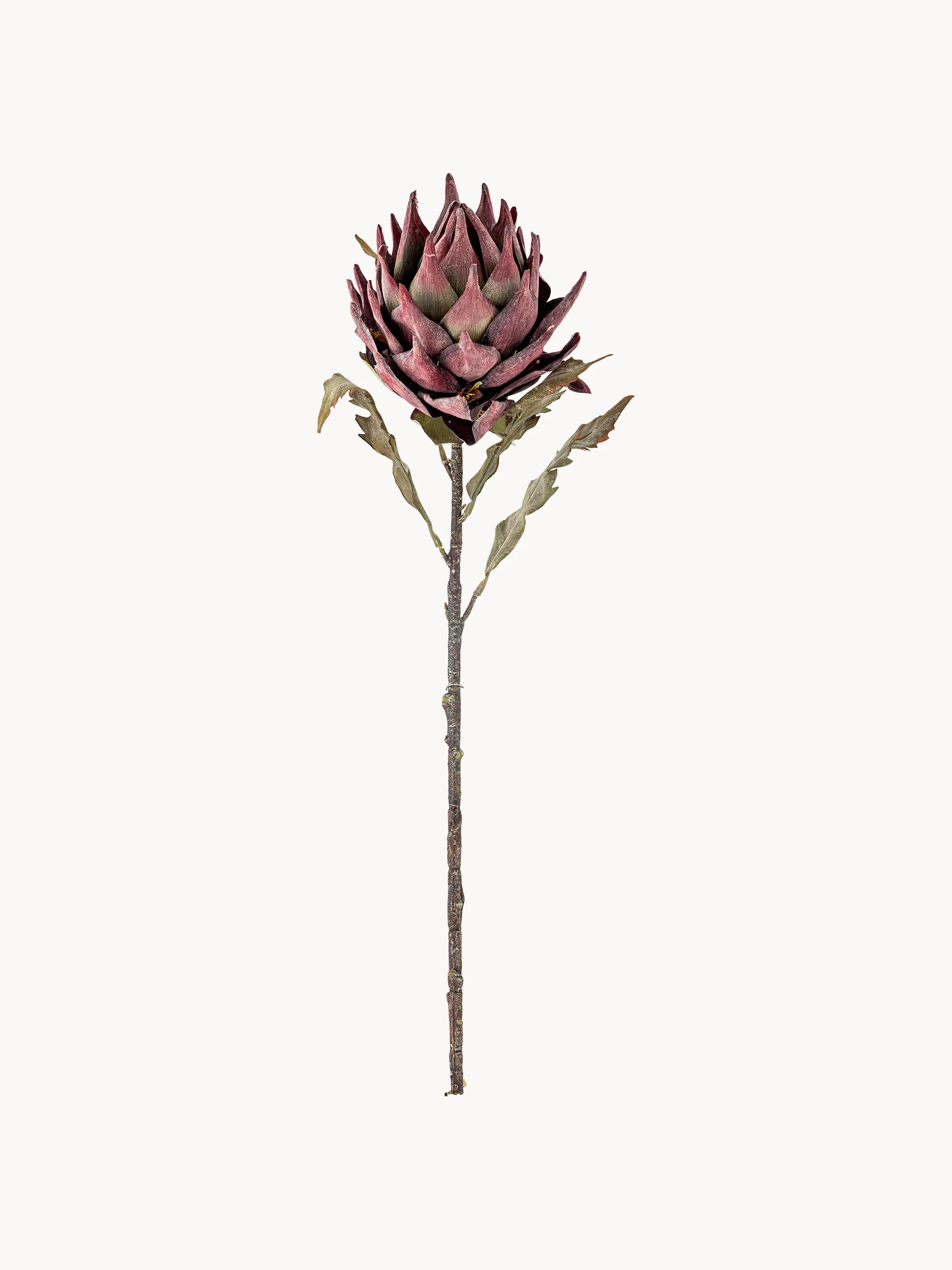 Kunstblume Protea