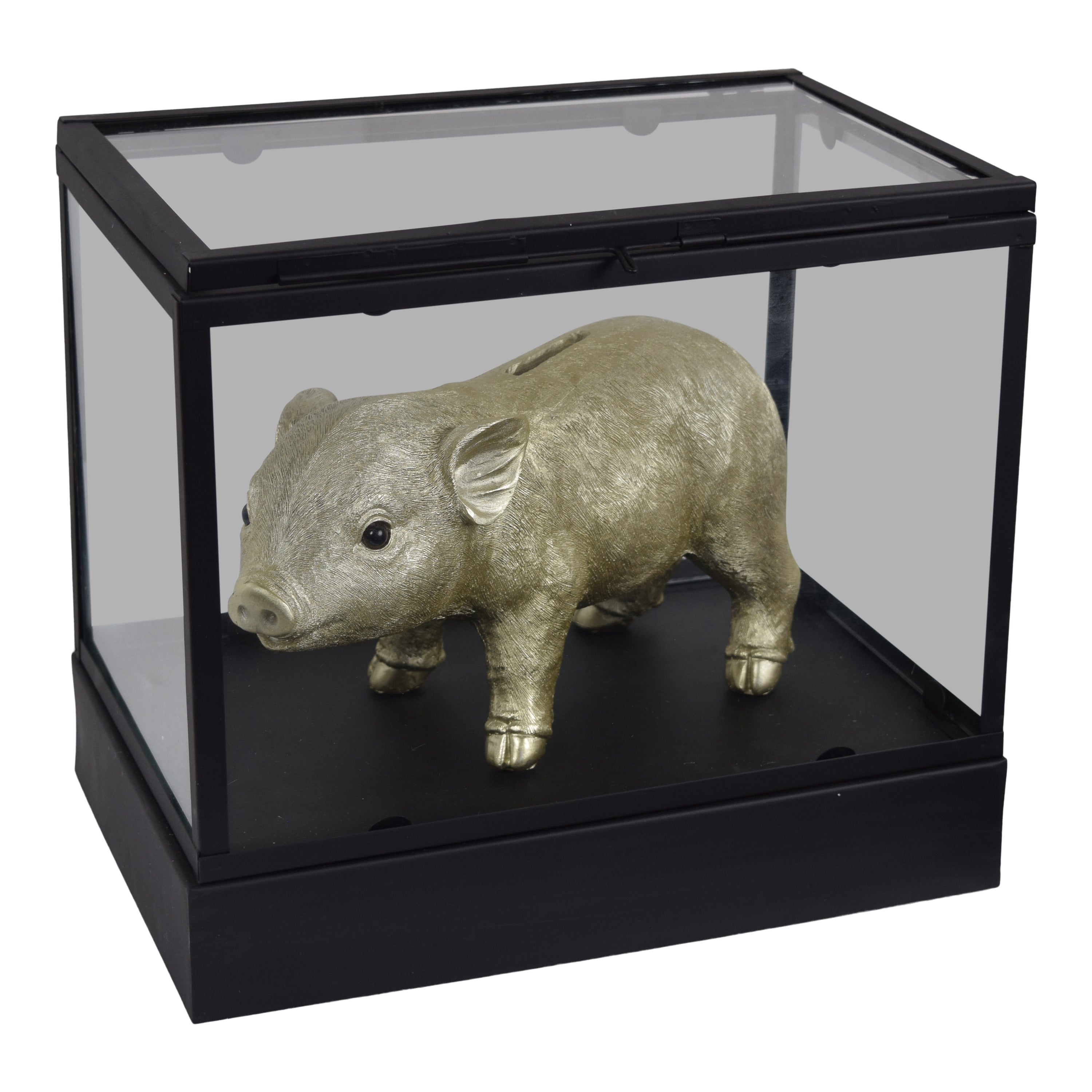 LOFT42 Showy Glazen Display Box Zwart - Metaal - (27x30x20)