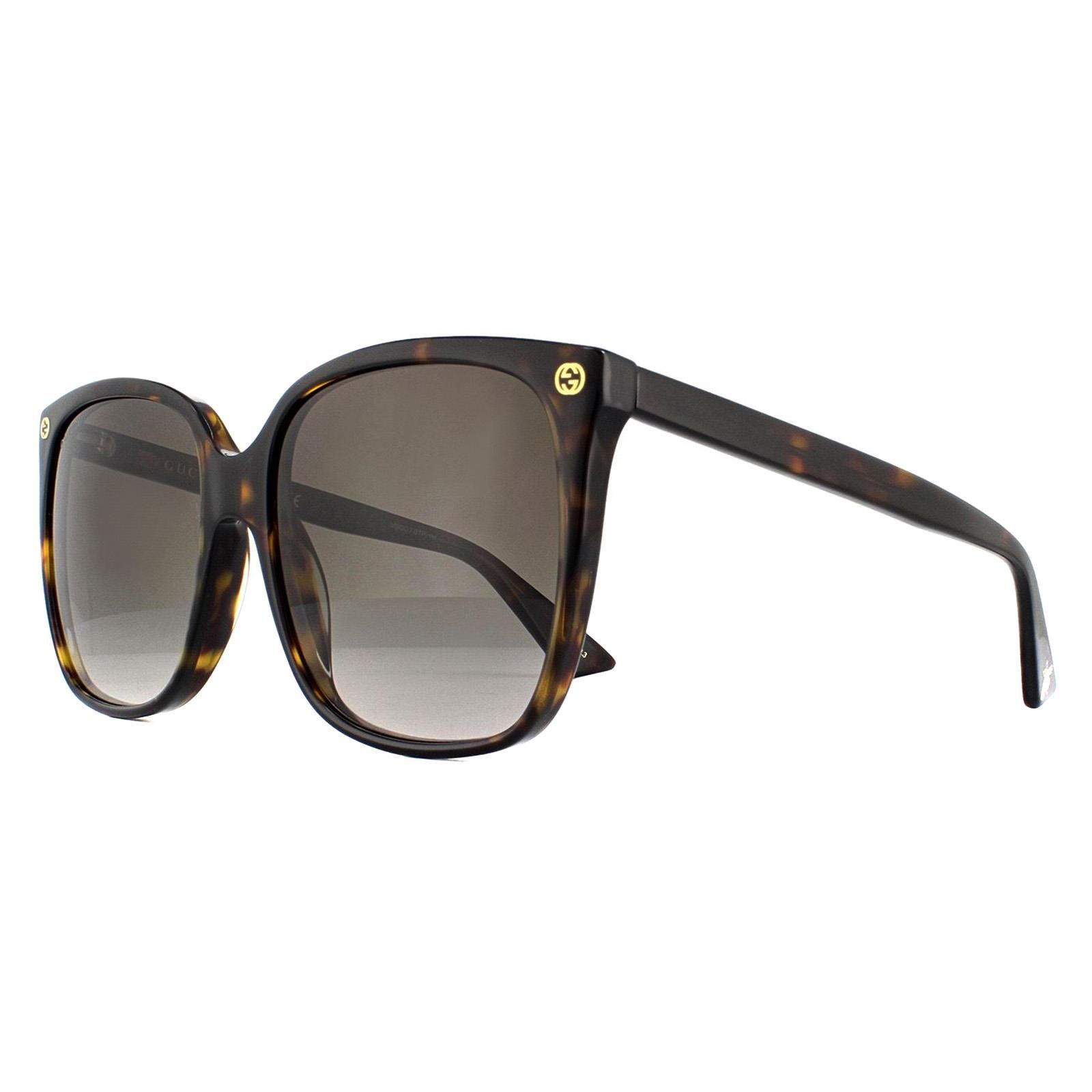 Gucci Cat Eye Havana Grey Gradient Sunglasses