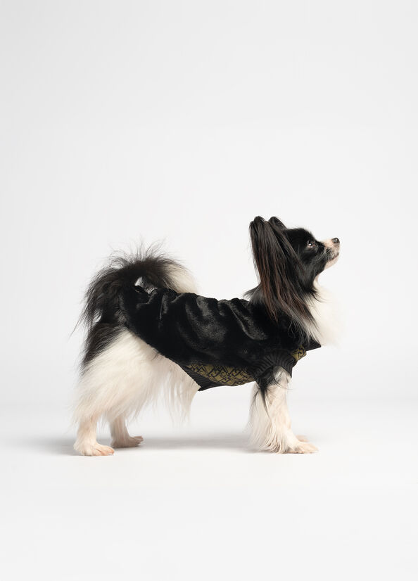 Maglia in lana e cashmere Liu Jo Pets