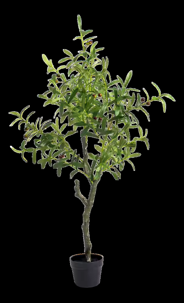 Naturae Décor Artificial Olive Tree, 49-in