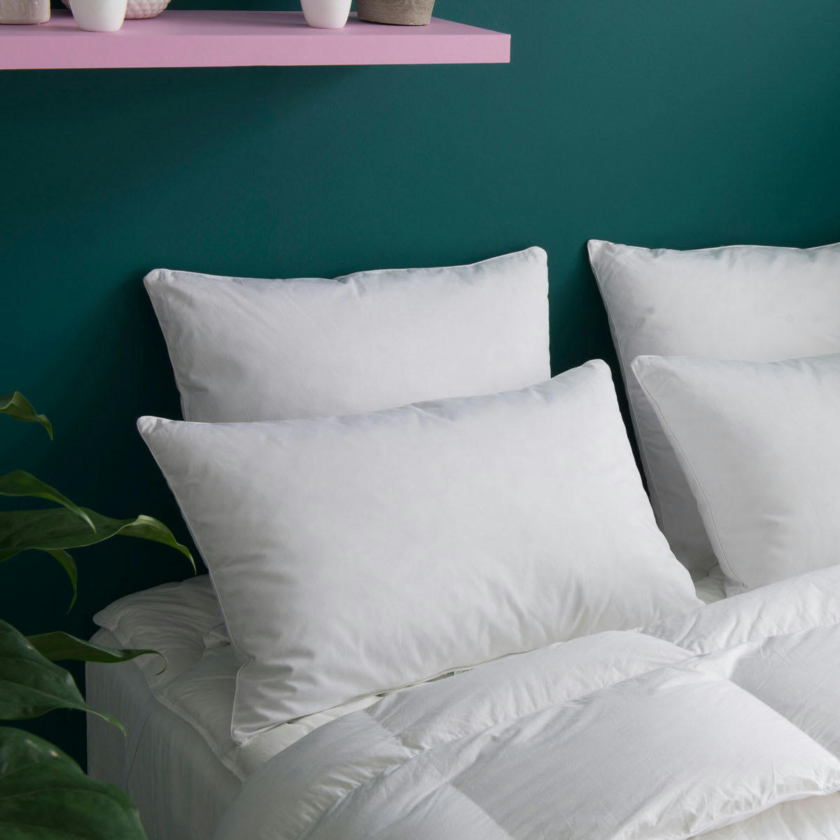 EDGARD - Oreiller MEDIUM 30% Duvet Anti-acariens - Coton Bio  65x65 cm - Wake M
