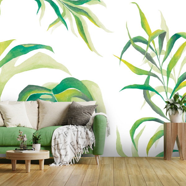 Feeby Fototapeta, Liście Monstera 150x105