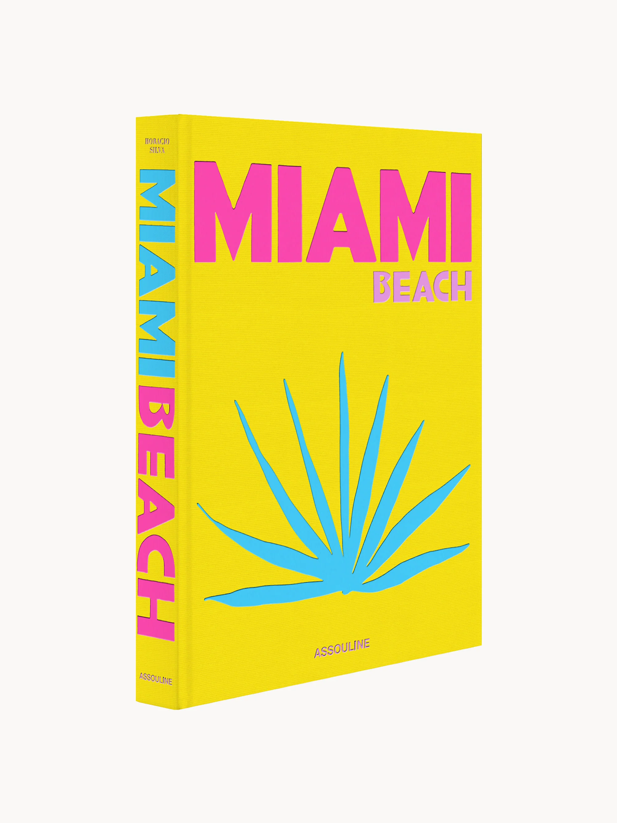 Bildband Miami Beach