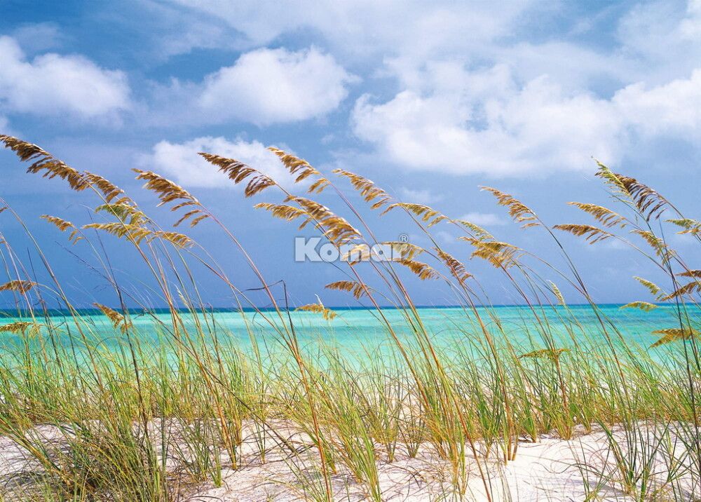 FOTOTAPET KOMAR OCEAN BREEZE 368X254CM