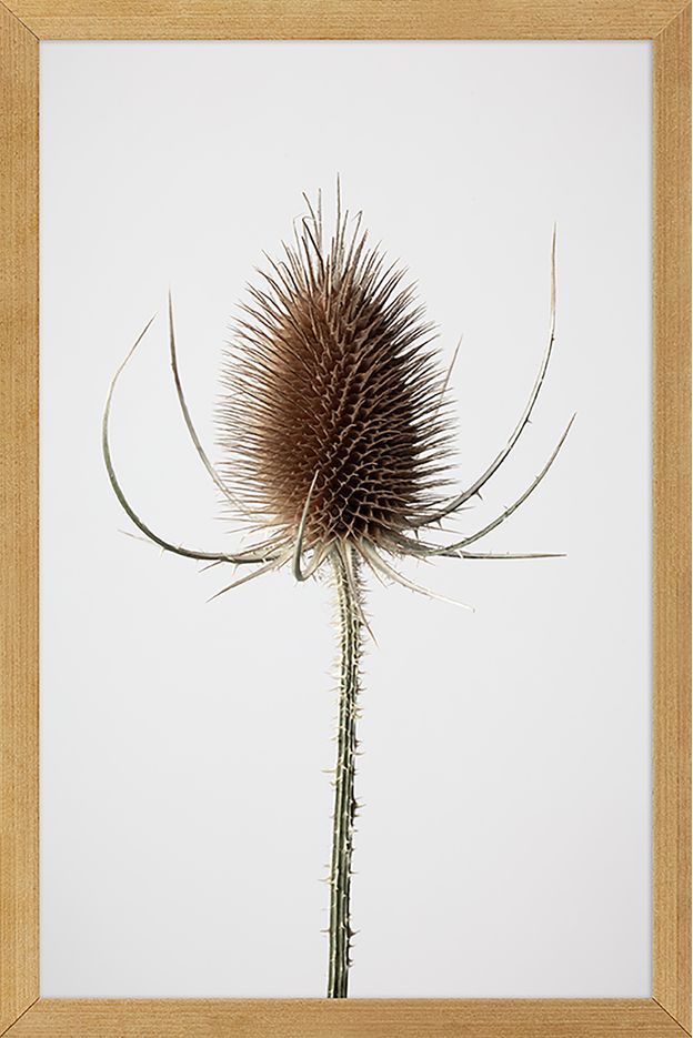 QUADRO JOIA NATURAL III 20 CM X 30 CM