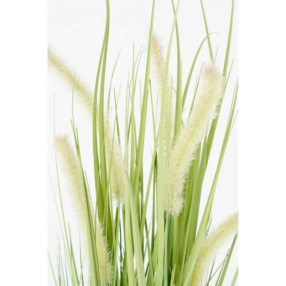 Mica Decorations Kunstplant dogtail sierplant - 53 cm - in zwart pot