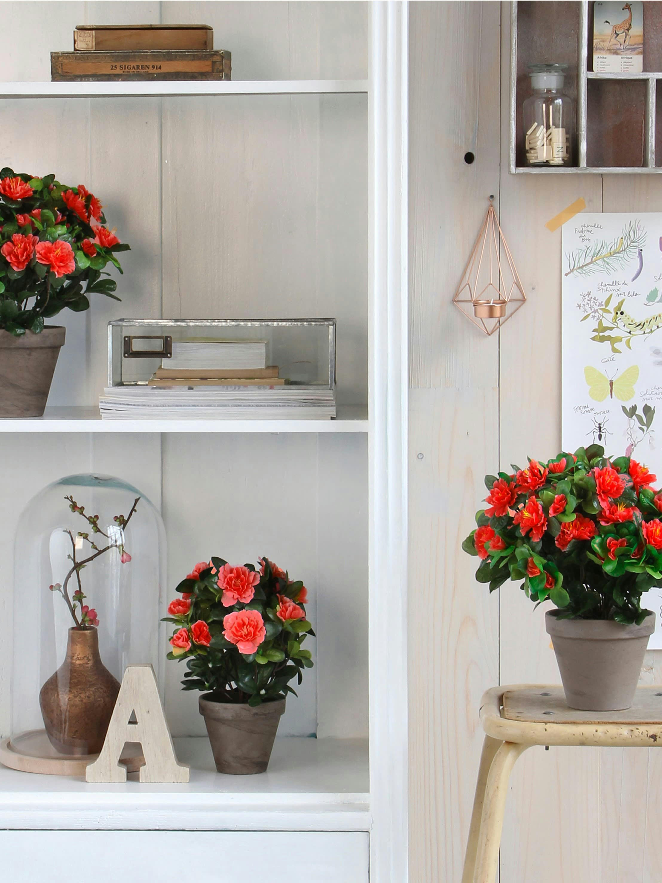 - Azalea artificielle rouge en pot H27