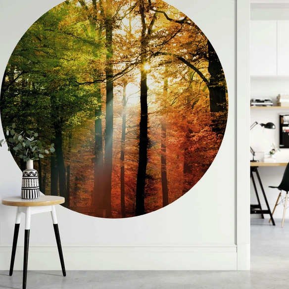 Vliestapete »Runde Vliestapete«, Goldener Herbst Natur Wald, mehrfarbig, matt