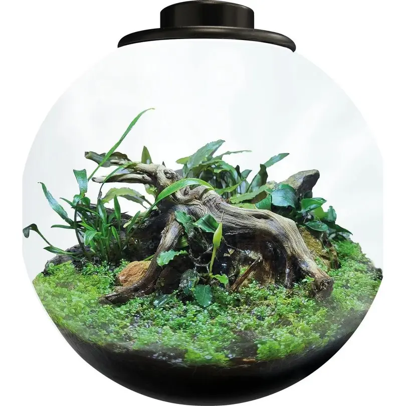 Pflanzschale Bio Art