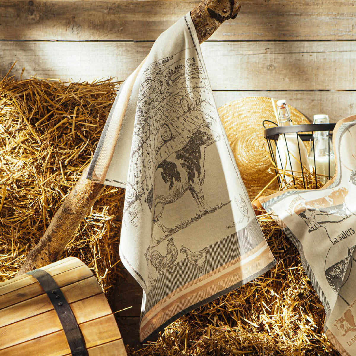 VACHES LAITIERES - Torchon en coton orange 50x75