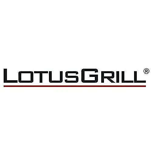 Barbecue charbon horizontal lotus grill acier gris 23.4 x 23.4 cm