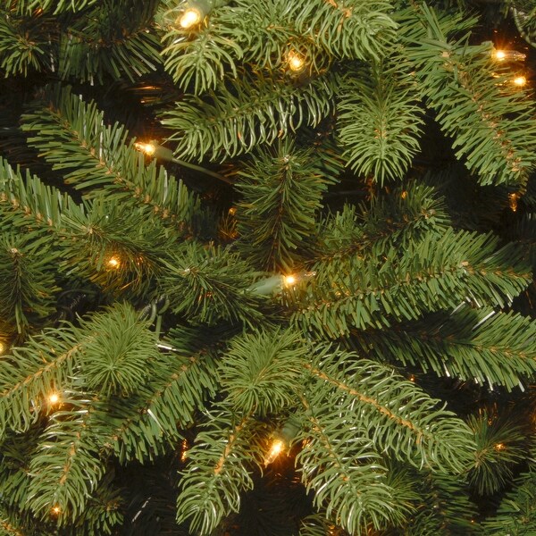6 ft. Newberry Spruce Tree with Clear Lights