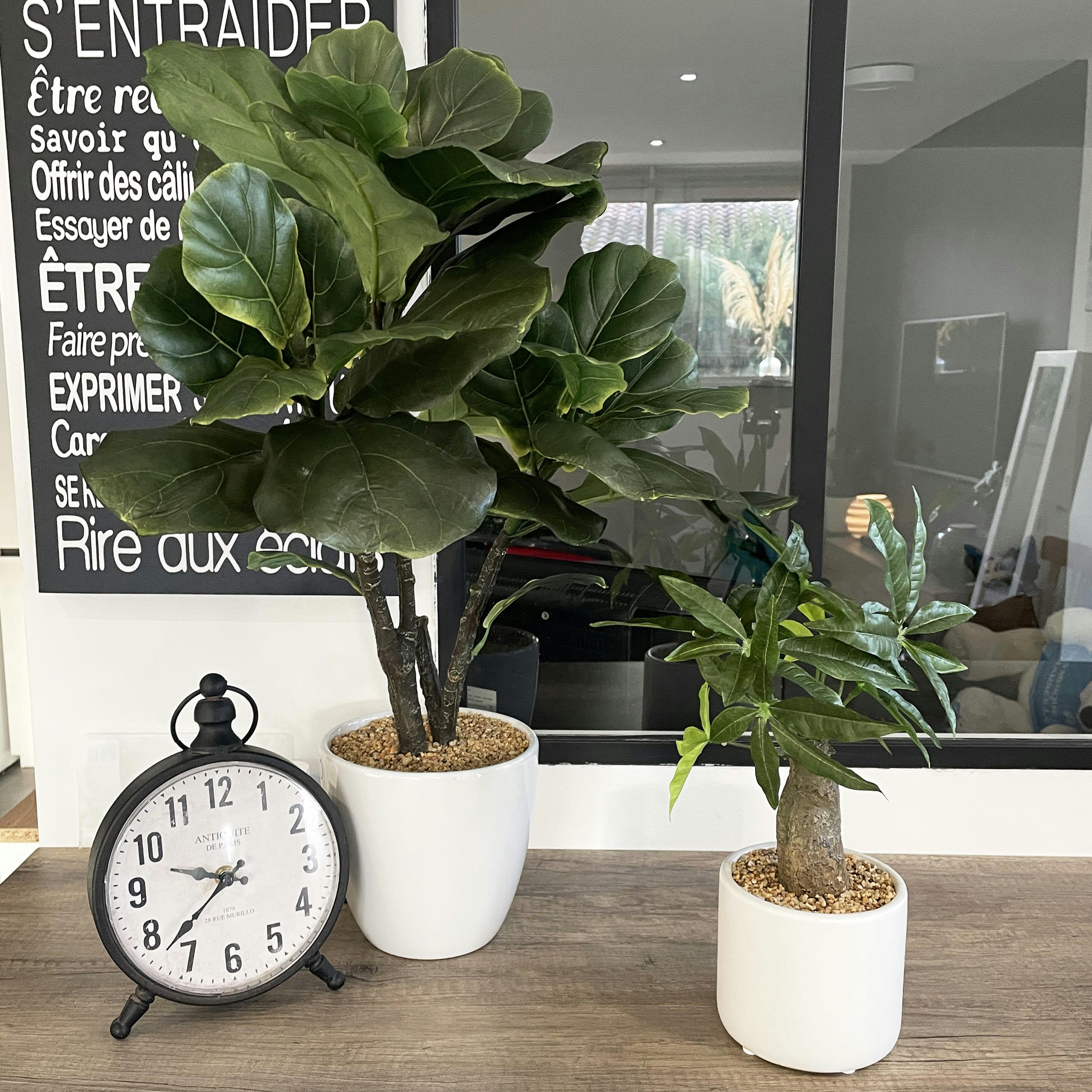 - Bonsaï artificiel pachira 35cm