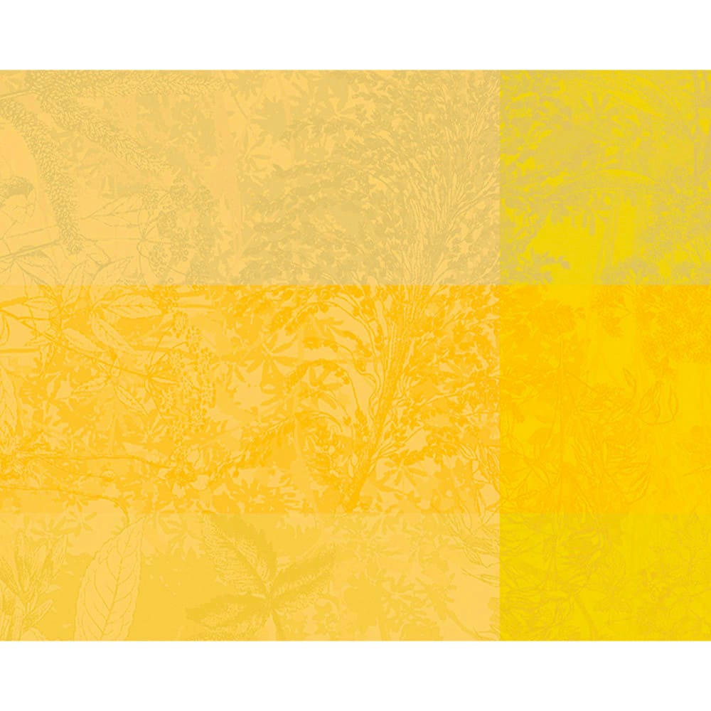 MILLE ESPRIT JARDIN SOLAIRE - Set  pur coton jaune 40X50
