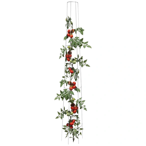 Tomatenrankgitter, Stahl