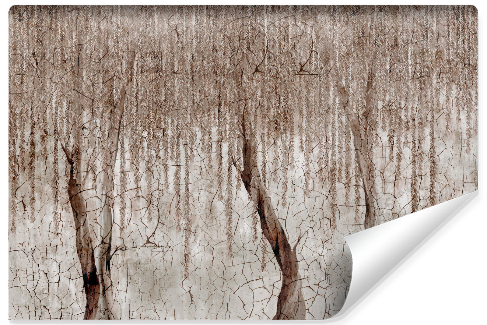 Fototapeta Wierzba Na Betonie 90x60cm