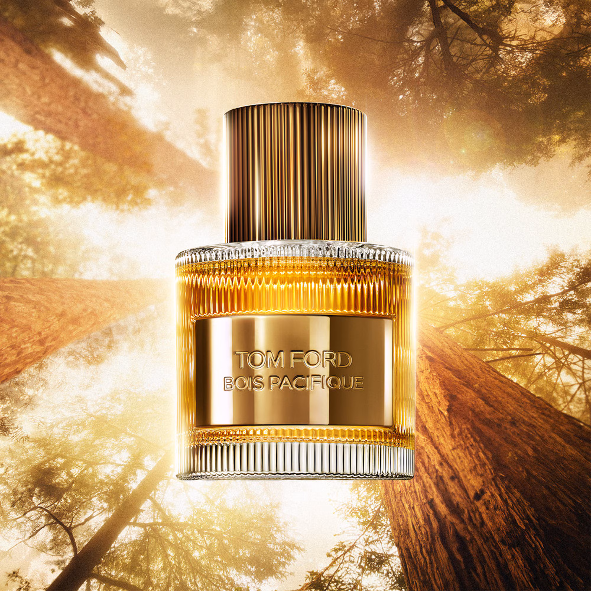 BOIS PACIFIQUEEau de parfum