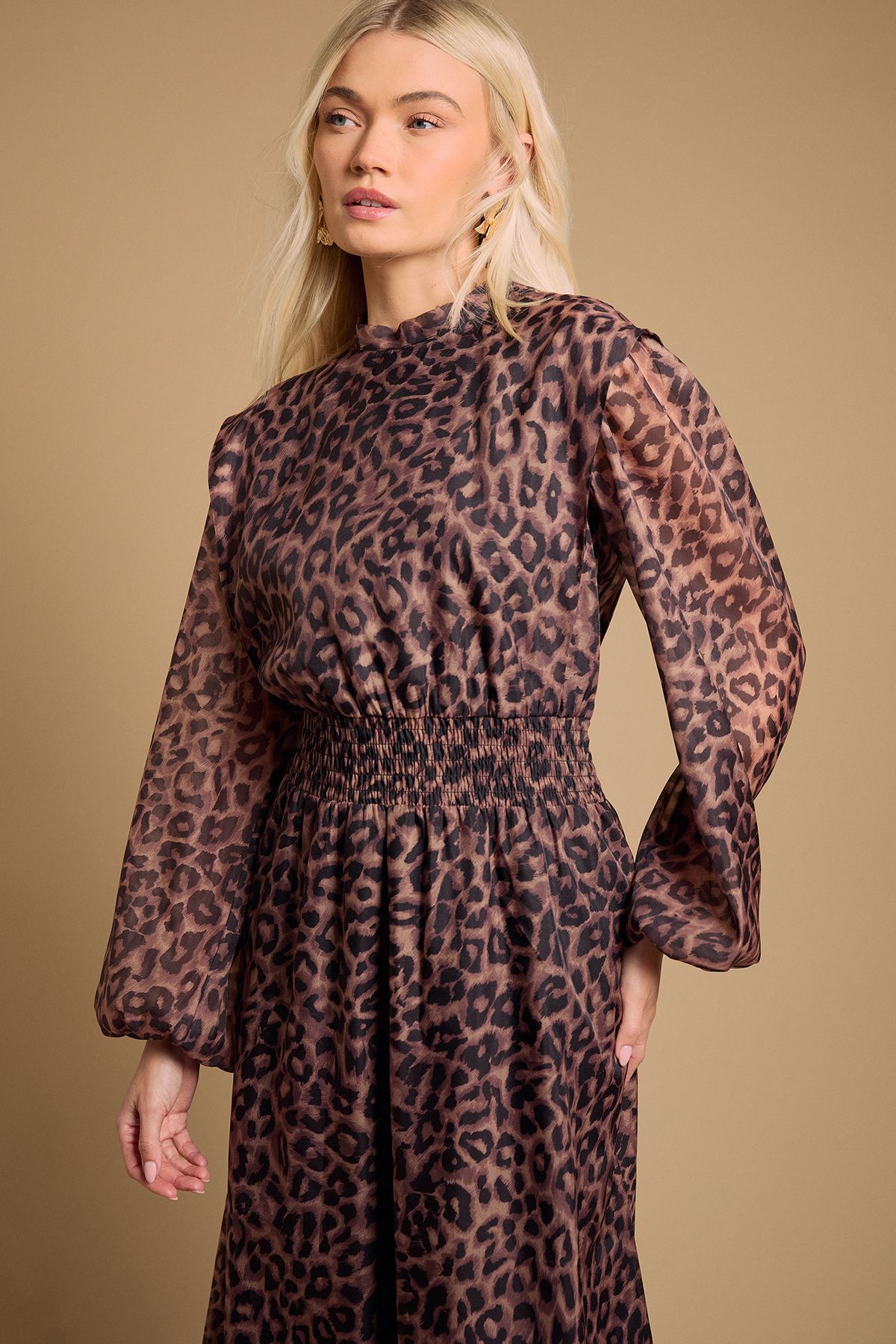 Oasis Leopard Organza Shirred Waist Midi Dress