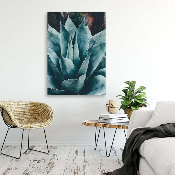 Feeby Obraz na płótnie Agawa z dużymi liśćmi 40x60