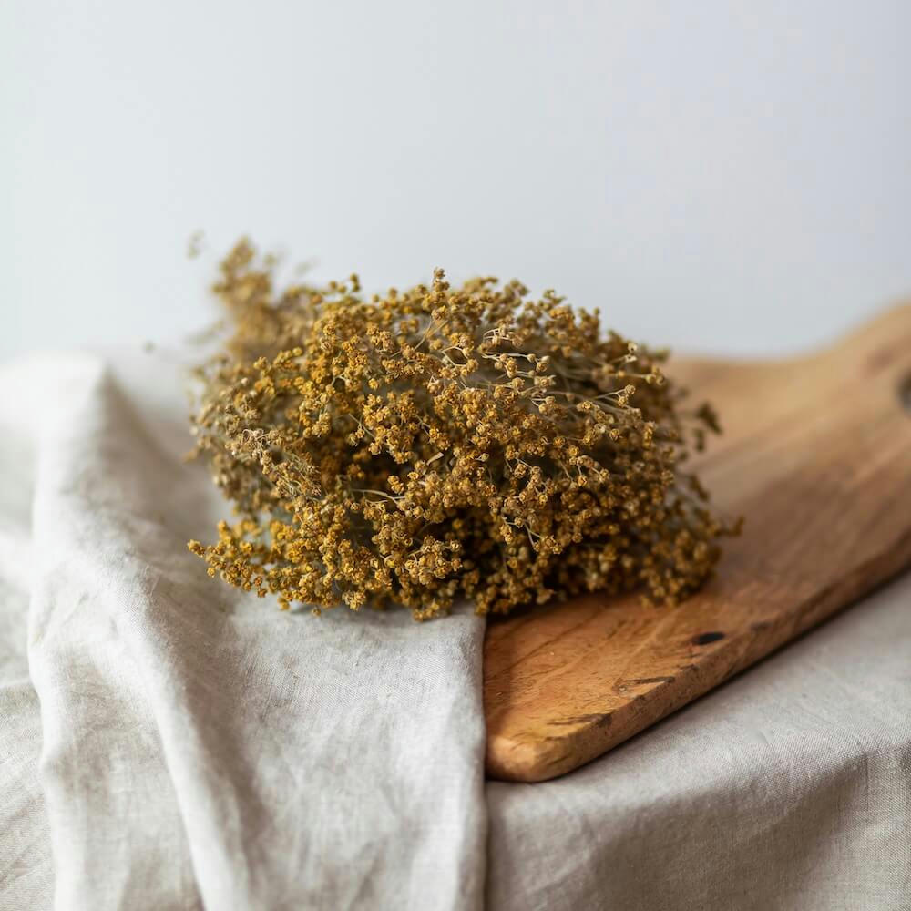 - Botte broom bloom naturel