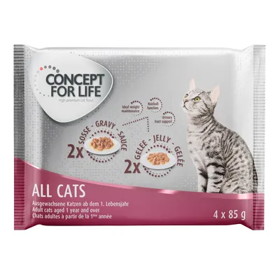 Concept for Life Mixed Trial Pack 4 x 85g