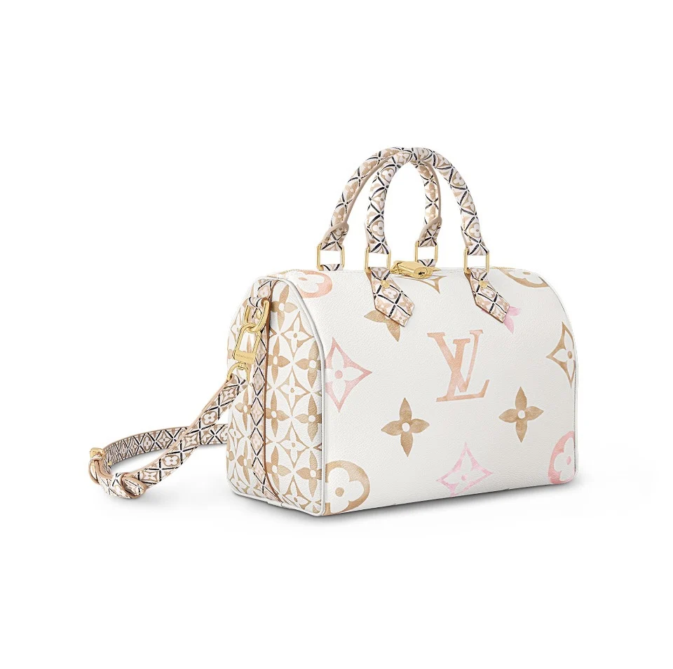 Louis Vuitton LV Speedy 25