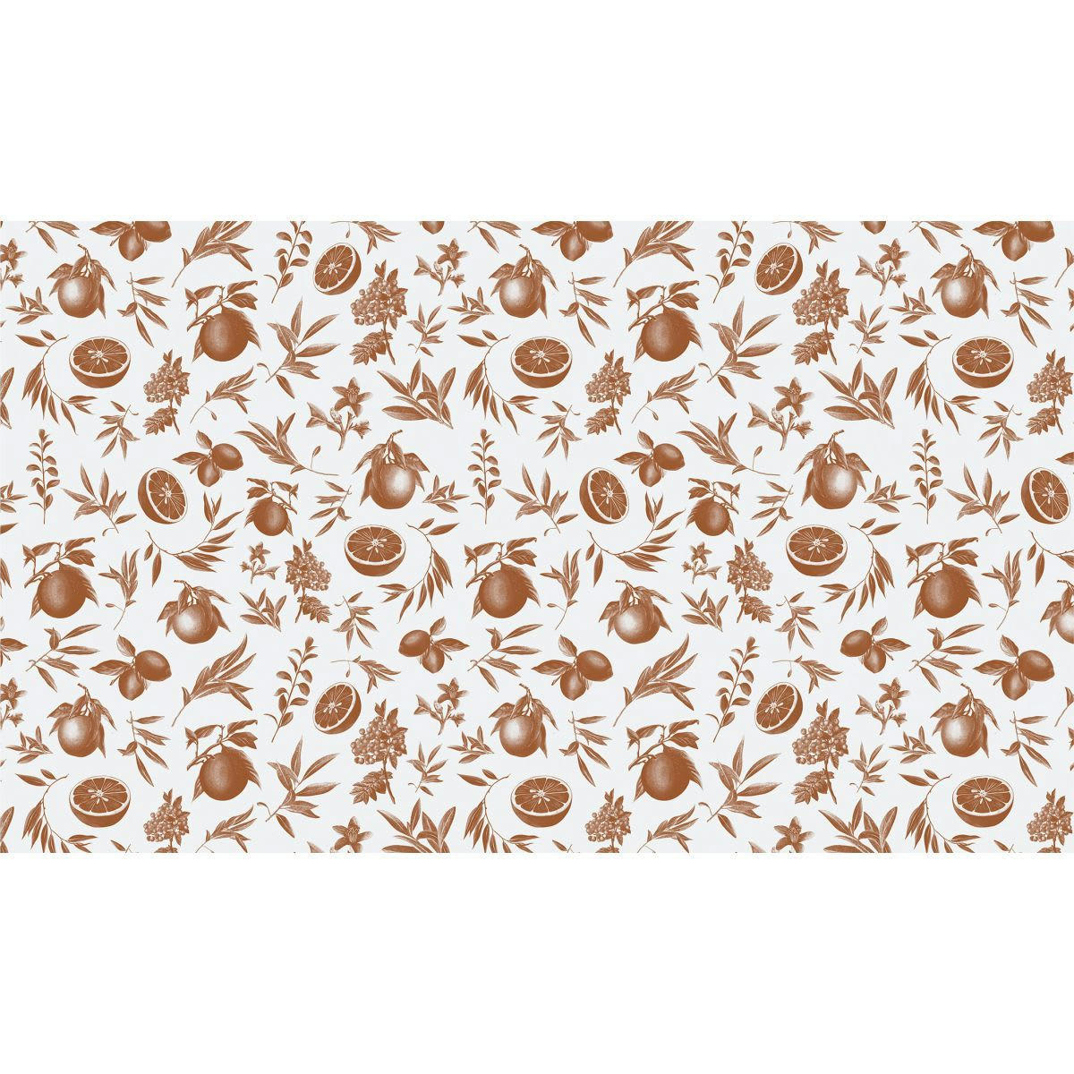 - Papier peint panoramique agrumes 255 x 250 cm