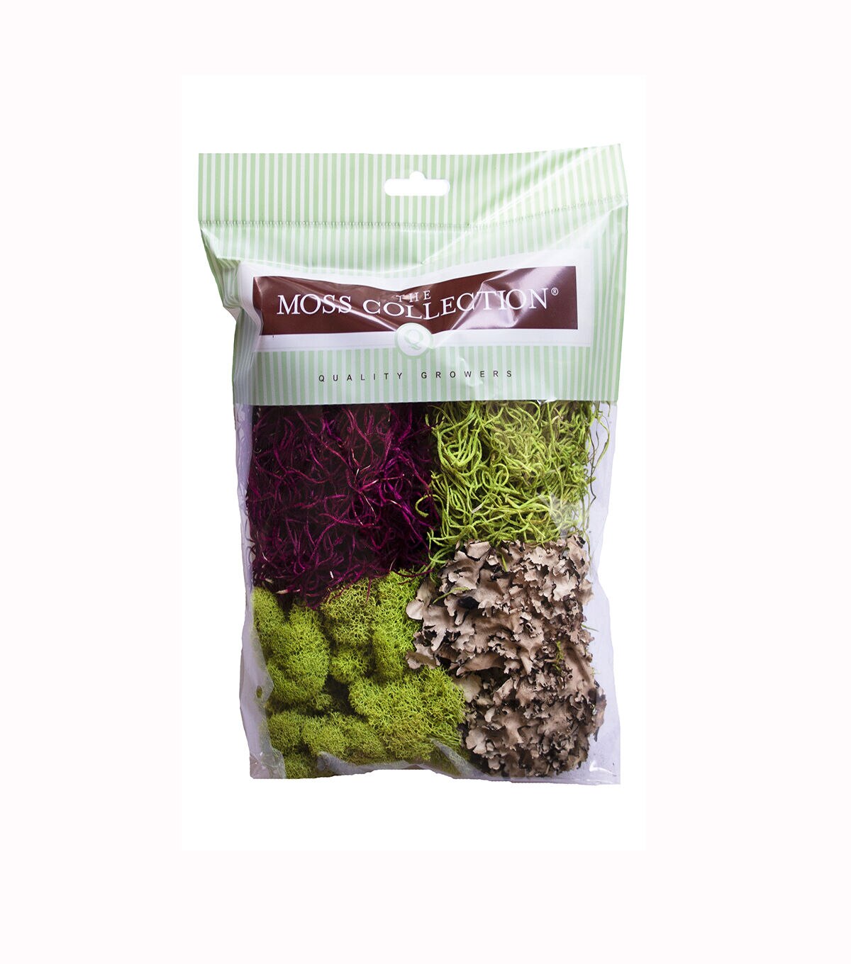 Quality Growers 4pc Green & Red Moss Variety Pack