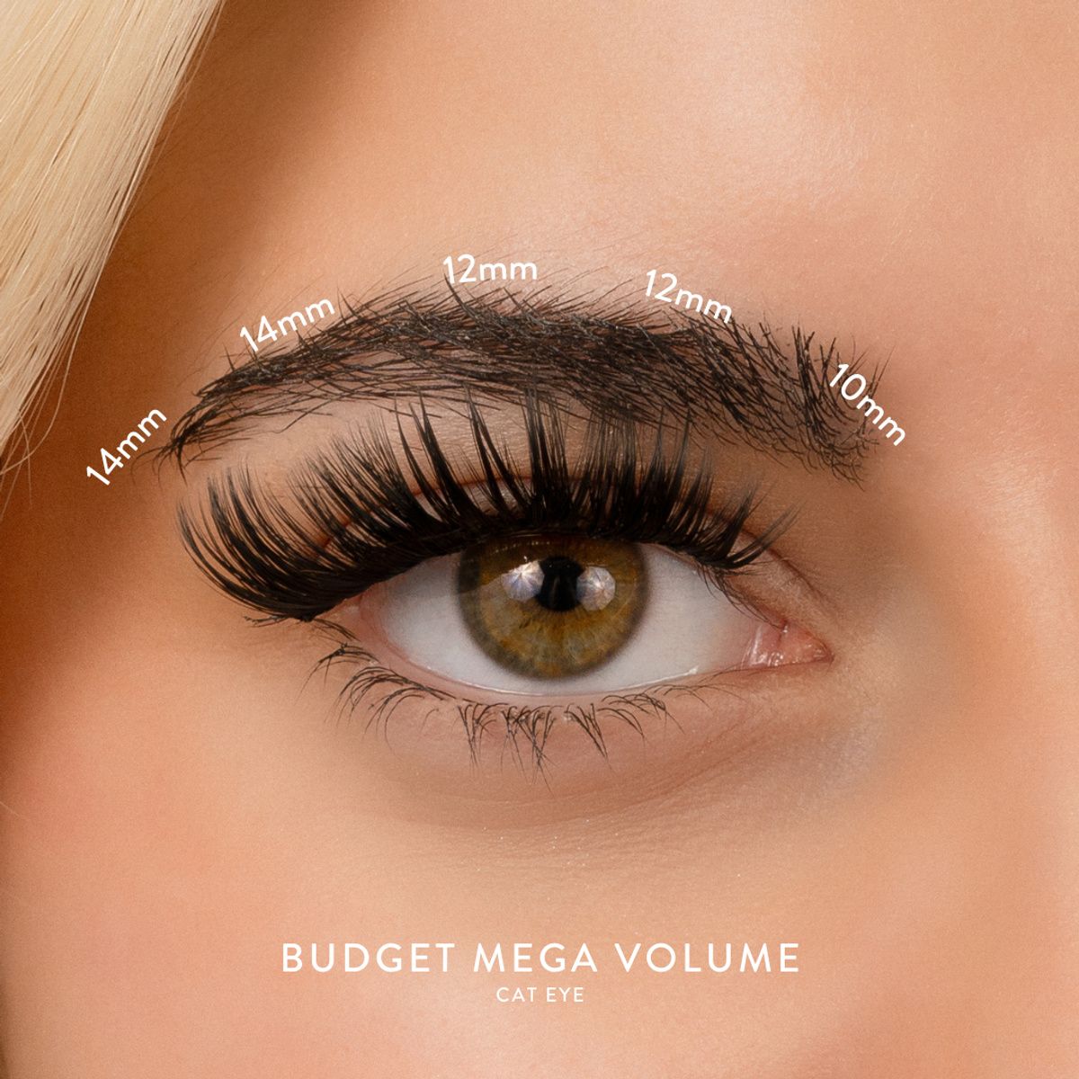 House of Amor Budget Box "Mega Volume" with Mini Bond