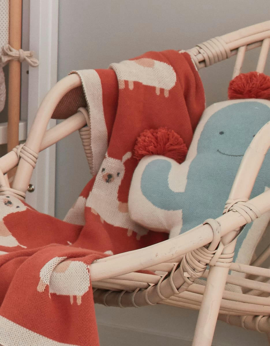 - Coussin Jacquard BIO Moris & Sacha