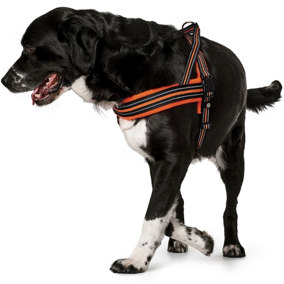 Hunde-Geschirr, L, nylon/polyester, orange