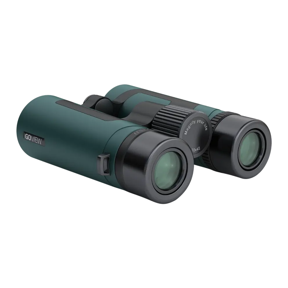 Fernglas Zoomr 10X42