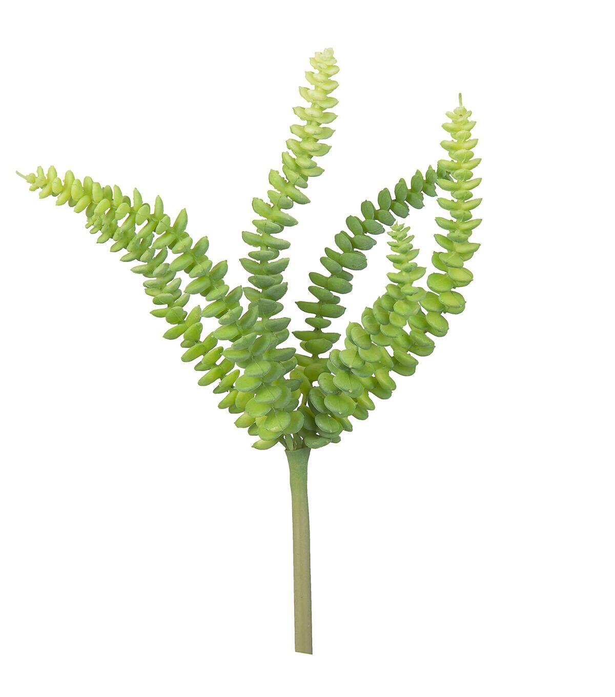 10.5 Green Burro's Tail Pick by Bloom Room