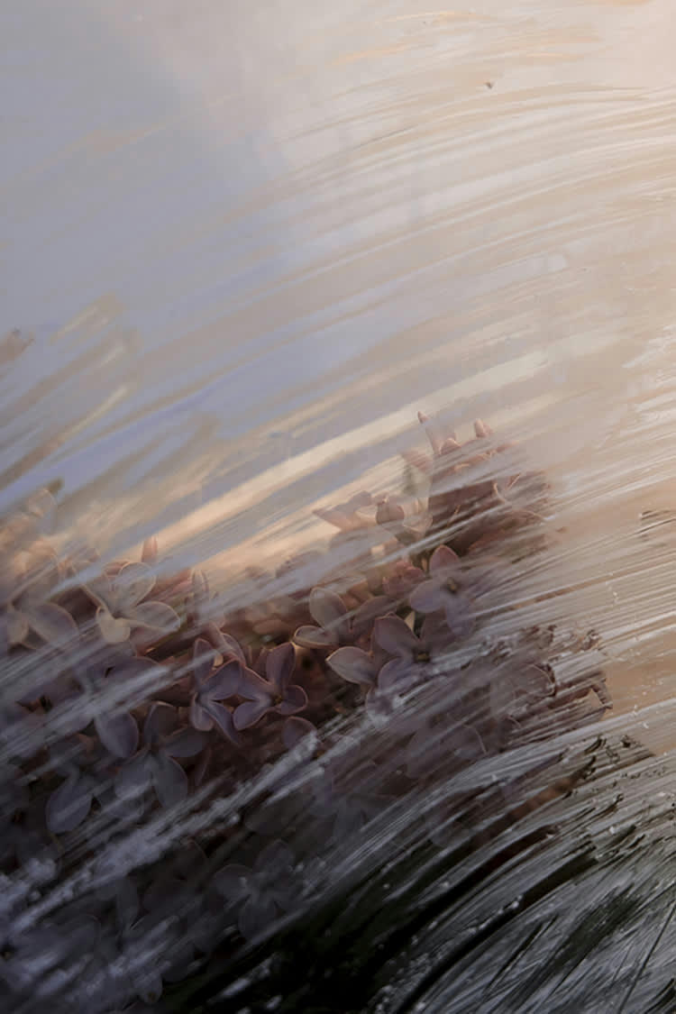 TEMPS SUSPENDU - Photographie d'art de Zoé Pignolet 40x60 cm sur plexi