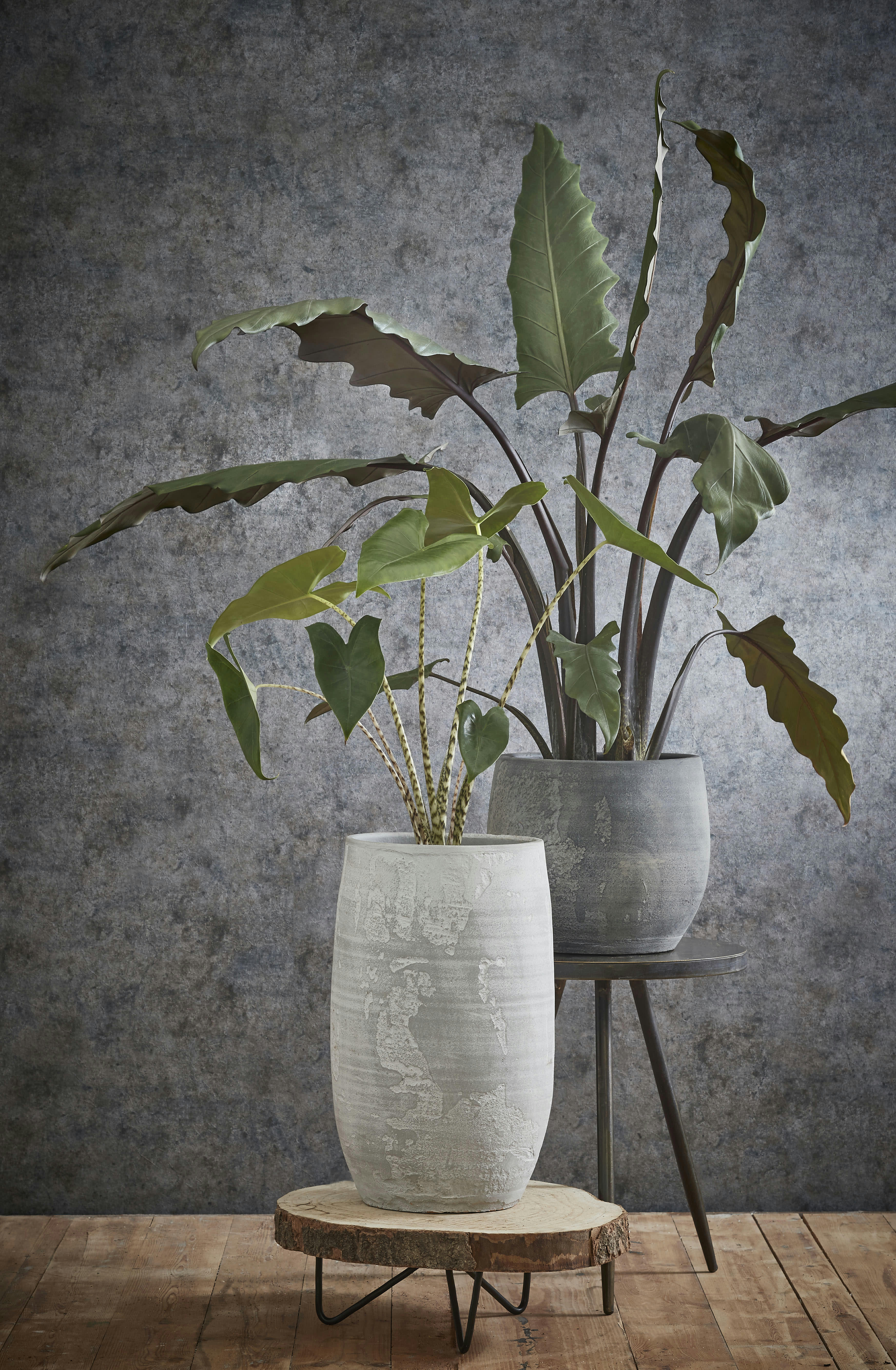 PIA - Table d'appoint en bois marron clair D40