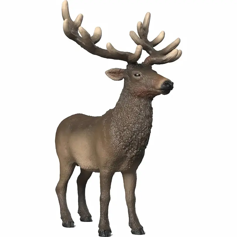 Spielset Wild Life