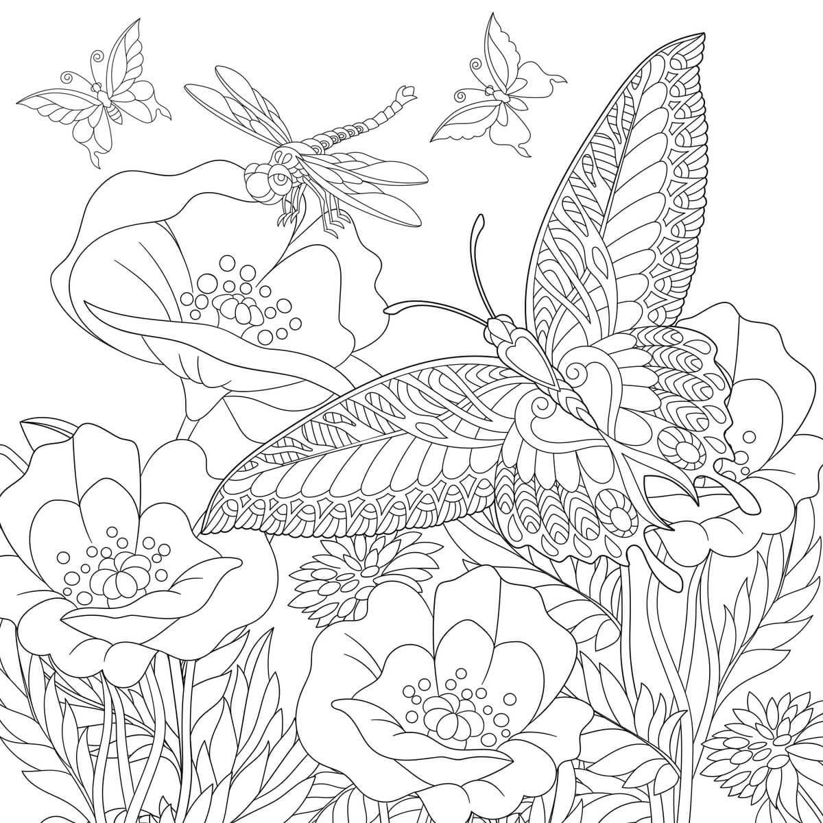 ILLUSTRATION - Tableau sur toile nature à colorier 30x30 cm