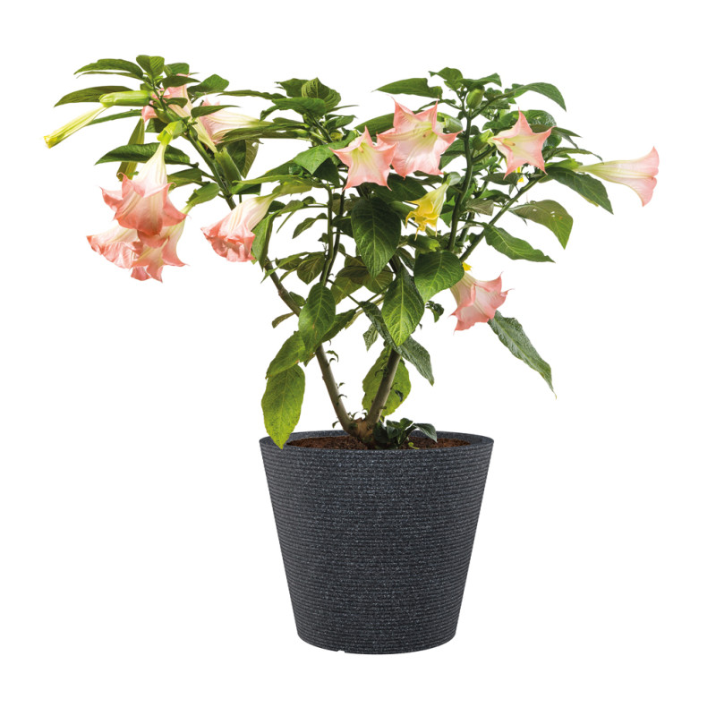 Pot Roto Coneo noir Ø 30 x 24 cm