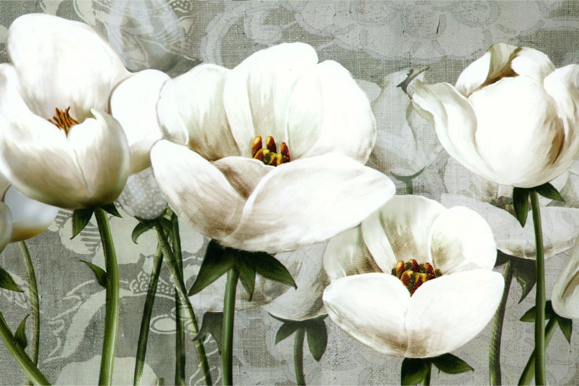 Fototapeta BIAŁE Tulipany Malunek Ozdoba 90x60cm