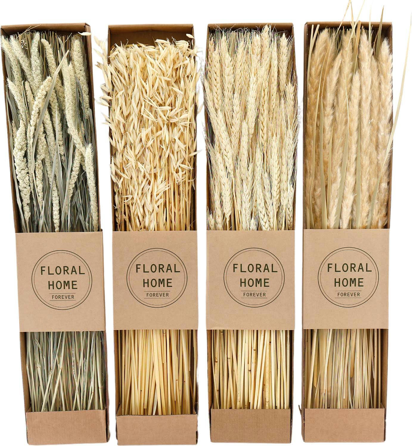 - Fleurs séchées naturelles 60 cm floral (lot de 4)