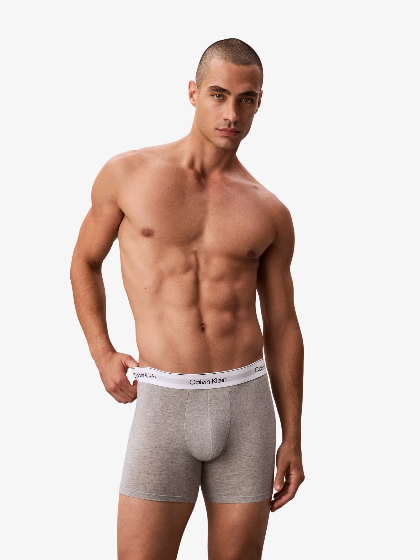 Icon Cotton Stretch Boxer Brief (Mixed 3-Pack)