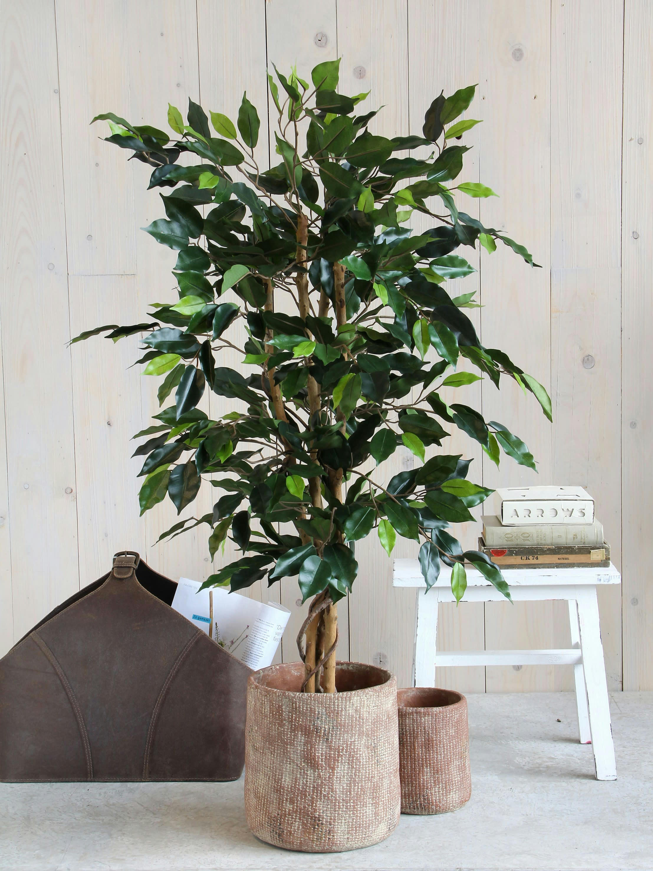 BENJAMINA - Ficus artificielle en pot H105