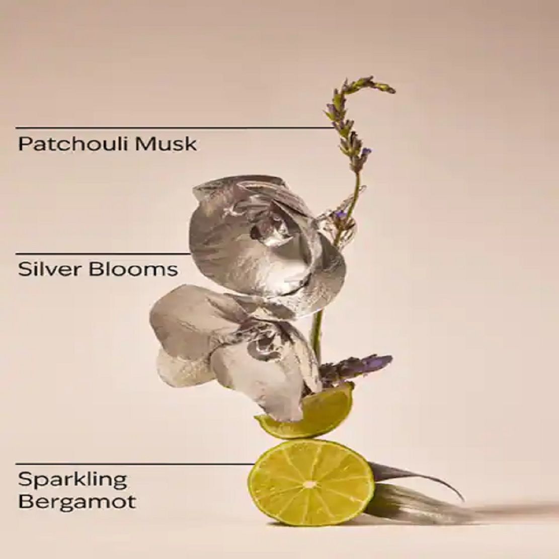 Bath & Body Works Platinum Fine Fragrance Mist – Patchouli Musk Sweet Scent Body Spray