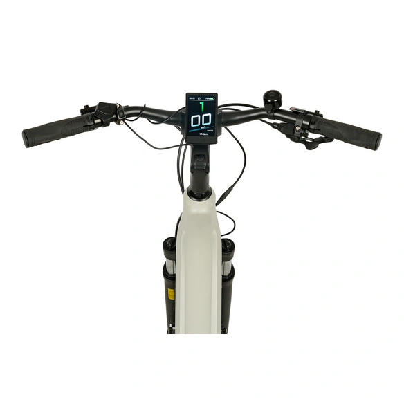 E-Bike, »ENTDECKER 5.0«, 28 Zoll, 10 Gänge, grau matt