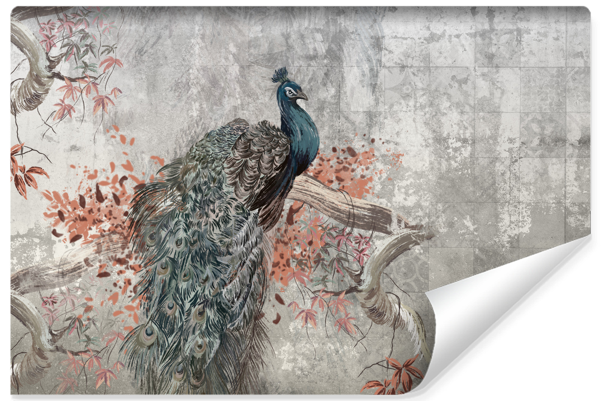 Fototapeta Do Salonu Abstrakcyjny Paw Na Betonie 90x60cm