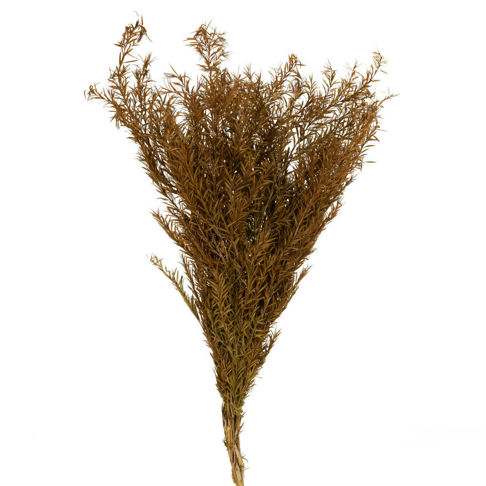 AMA - Bouquet de fleurs séchées jaunes