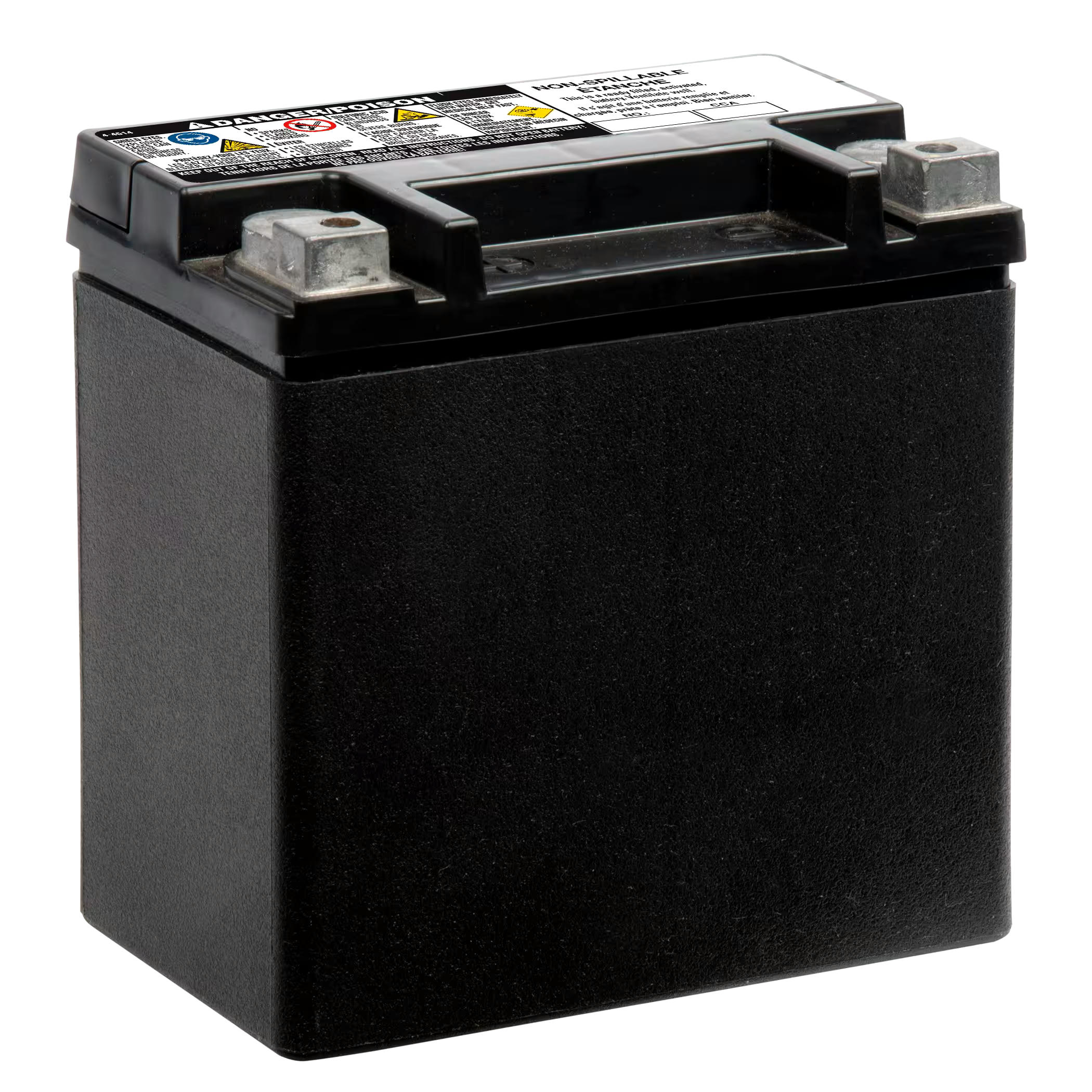MOTOMASTER AGM Group Size 400 Auxiliary Battery, 200 CCA